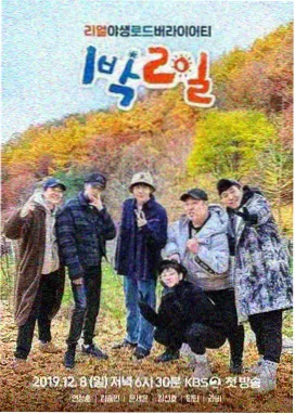 一起修房子生活改造综艺在线观看